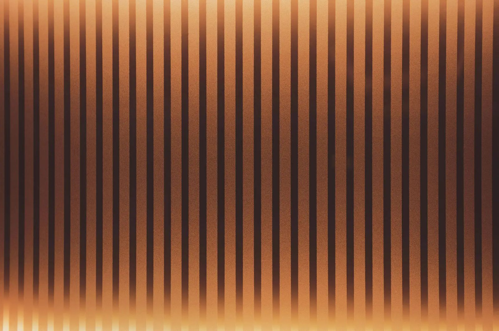 pexels-timmossholder-1154738